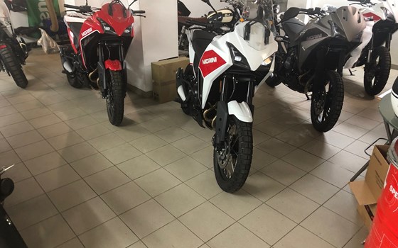 Fantic - Moto Morini & Mash News 2022! - Bild 5