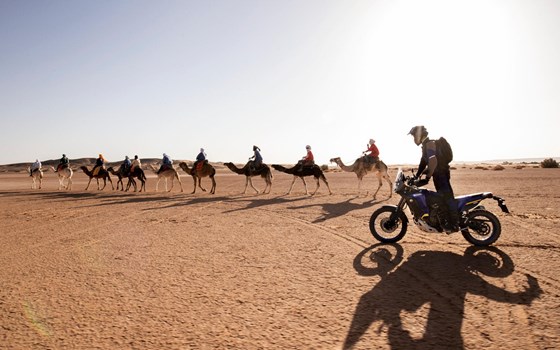 Die brandneue Yamaha Ténéré 700 World Raid - Bild 4