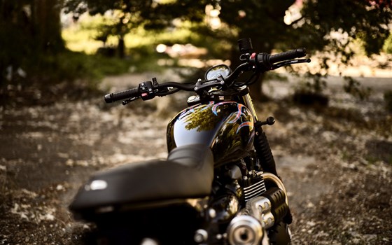 Triumph Custom Street Scrambler - Bild 2