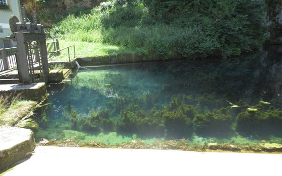 Alpentour 2022 - Bild 4