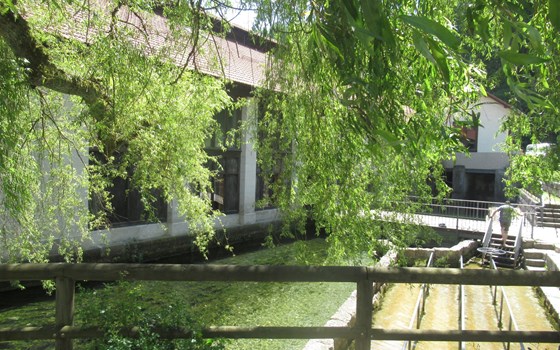 Alpentour 2022 - Bild 5