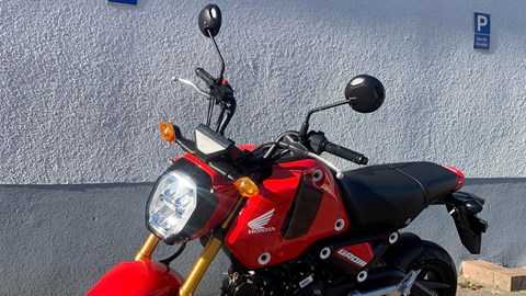 Honda MSX 125 verfügbar