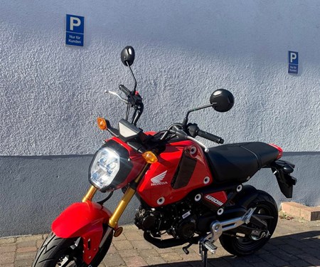 Honda MSX 125 verfügbar