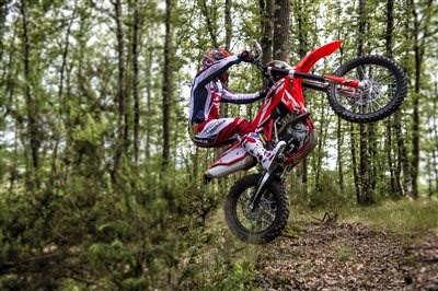 Der Australische Graham Der Australische Graham