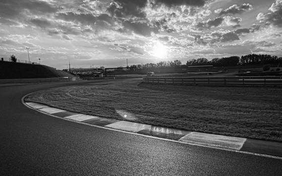 In Gedenken an Wolf Töns - Bild 1