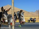 „IRAN - Plan Persepolis“ - Jetzt Anmelden...