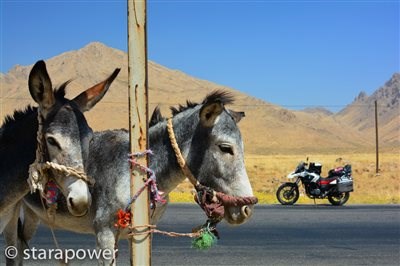 „IRAN - Plan Persepolis“ - Jetzt Anmelden... - Bild 1