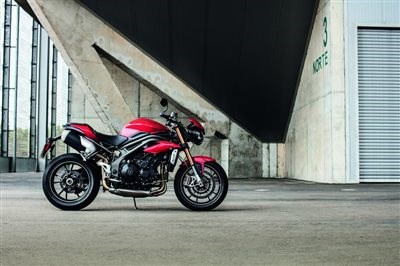NEW SPEED TRIPLE - Bild 3