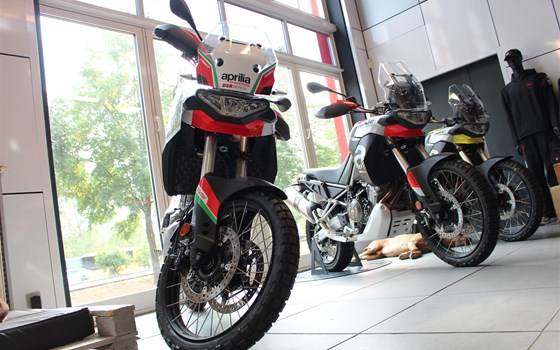 Tuareg 660 mit Kampfbemalung - Bild 1