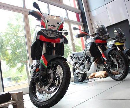 Tuareg 660 mit Kampfbemalung