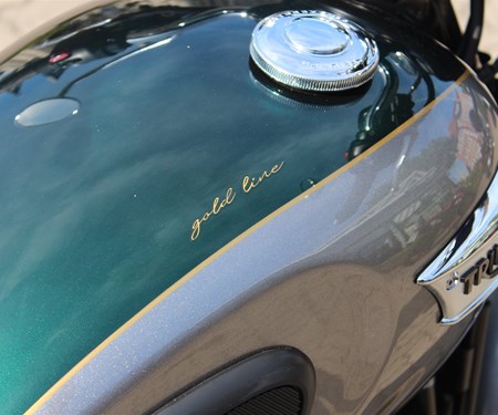 Bonneville T100 "Gold Line"