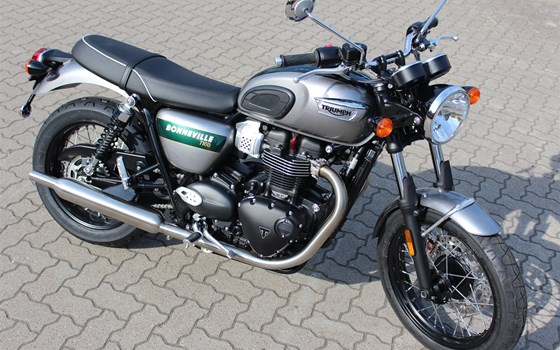 Bonneville T100 "Gold Line" - Bild 3