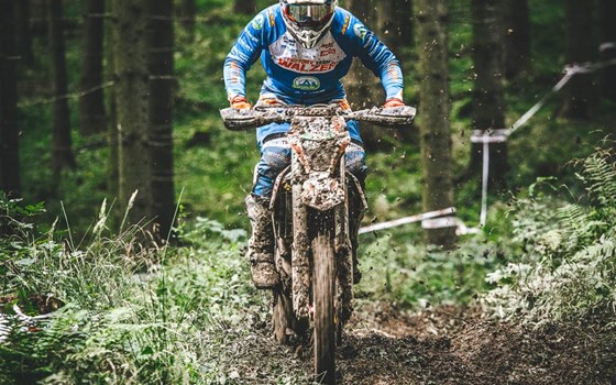 KTM|GASGAS Walzer Rennbericht ÖEC und ÖM Finalrennen Ötscher Race und Classic Enduro Wertungsfahrt Hausruck - Bild 8 KTM|GASGAS Walzer Rennbericht ÖEC und ÖM Finalrennen Ötscher Race und Classic Enduro Wertungsfahrt Hausruck - Bild 8