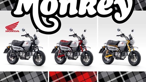 Honda Semmler - Honda Monkey 2023