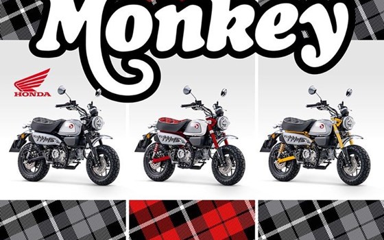 Honda Semmler - Honda Monkey 2023 - Bild 1