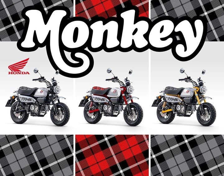 Honda Semmler - Honda Monkey 2023 Bild 1: Honda Semmler - Honda Monkey 2023