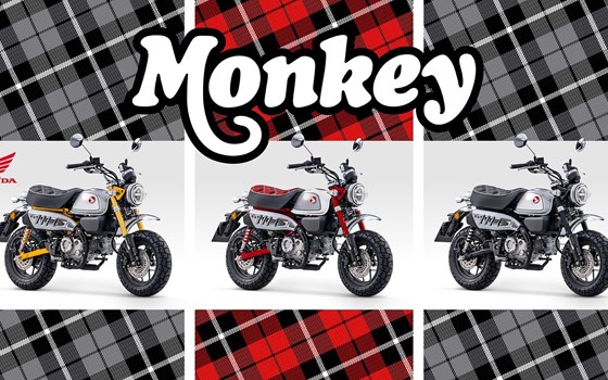 2023: Honda CB1000R, Rebel 500 und Monkey - Bild 3 2023: Honda CB1000R, Rebel 500 und Monkey - Bild 3