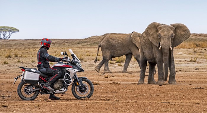 Ducati Multistrada V4 Rally