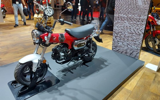Intermot 2022 in Köln: Honda DAX und SUPER CUB 125  - Bild 4