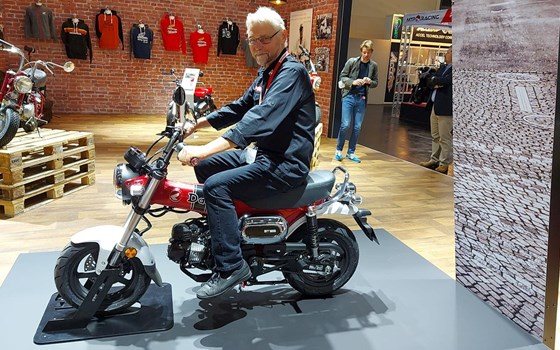 Intermot 2022 in Köln: Honda DAX und SUPER CUB 125  - Bild 1