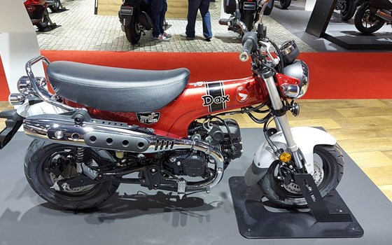 Intermot 2022 in Köln: Honda DAX und SUPER CUB 125  - Bild 5