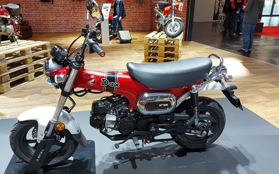 Intermot 2022 in Köln: Honda DAX und SUPER CUB 125  - Bild 6