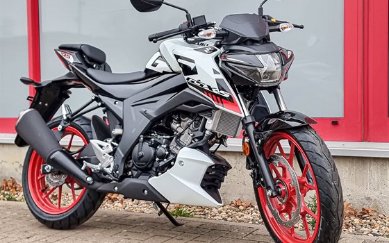 Suzuki Modelle 2023 - Bild 10