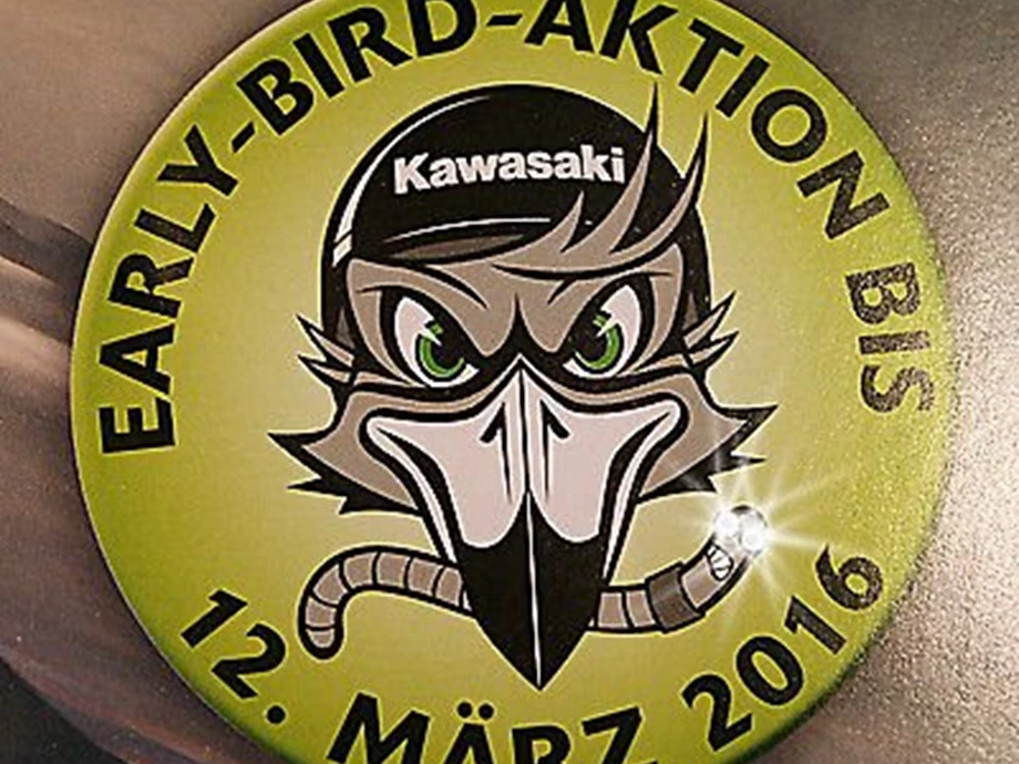 Der Winter geht...das Frühjahr kommt-bald ! Bild 5: Der Winter geht...das Frühjahr kommt-bald !