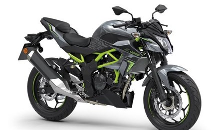Kawasaki Z125 2023
