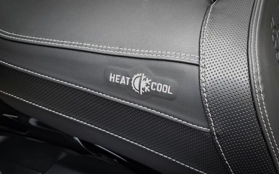 Roadmaster Dark Horse 2022 - Bild 10