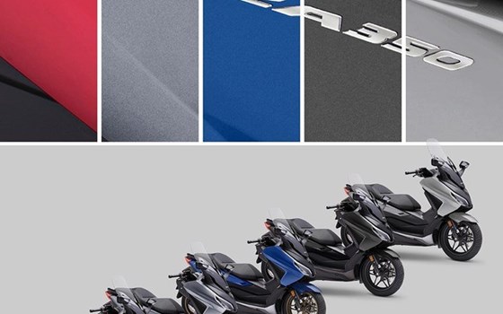 Honda Semmler - Honda Forza 350 2023 - Bild 1