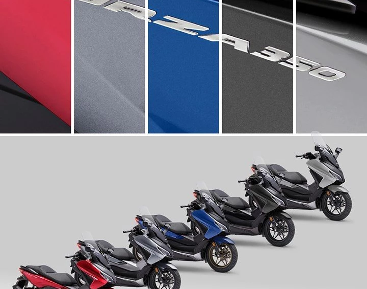 Honda Semmler - Honda Forza 350 2023 Bild 1: Honda Semmler - Honda Forza 350 2023