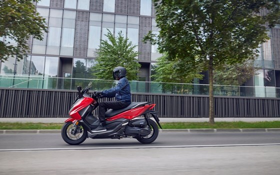 Honda Semmler - Honda Forza 350 2023 - Bild 10