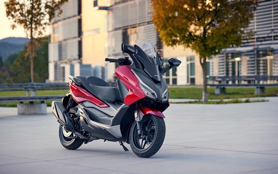 Honda Semmler - Honda Forza 350 2023 - Bild 12