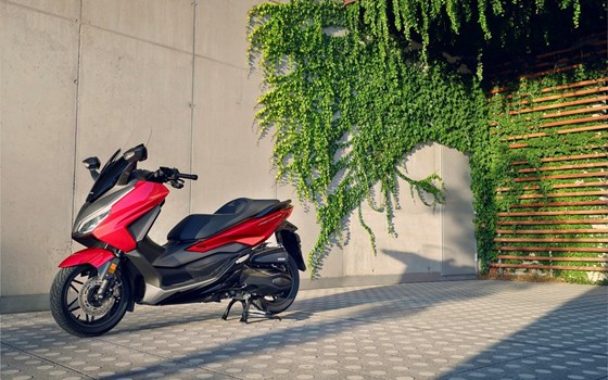 Honda Semmler - Honda Forza 350 2023 - Bild 14