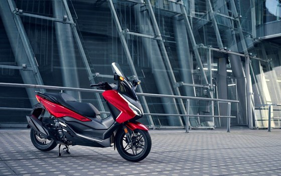 Honda Semmler - Honda Forza 350 2023 - Bild 15