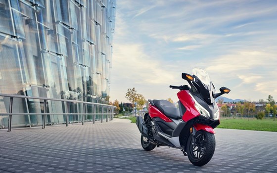 Honda Semmler - Honda Forza 350 2023 - Bild 16