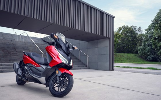 Honda Semmler - Honda Forza 350 2023 - Bild 17