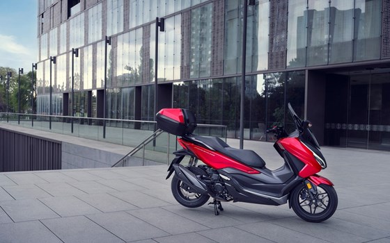 Honda Semmler - Honda Forza 350 2023 - Bild 2