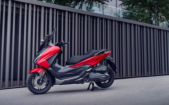 Honda Semmler - Honda Forza 350 2023 - Bild 3