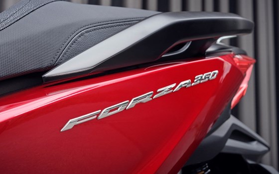 Honda Semmler - Honda Forza 350 2023 - Bild 5