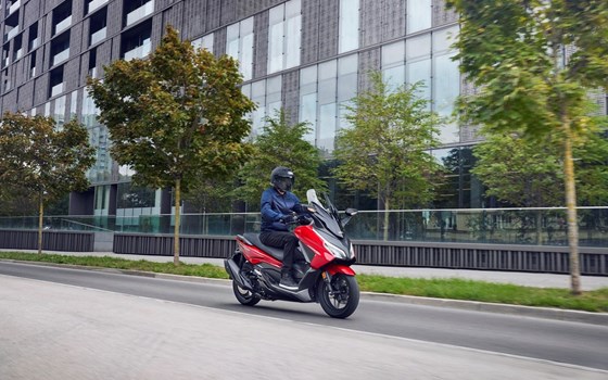 Honda Semmler - Honda Forza 350 2023 - Bild 8