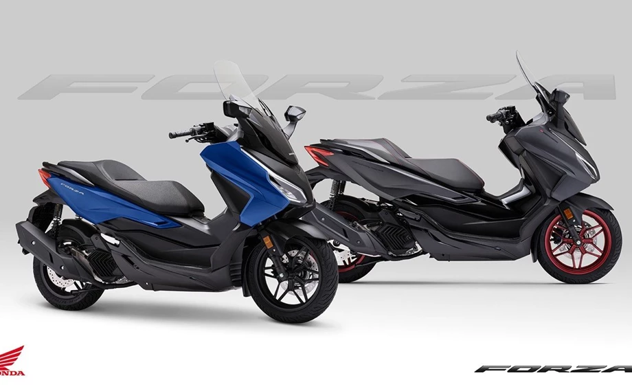 Honda Semmler - Honda Forza 125 2023 Bild 1: Honda Semmler - Honda Forza 125 2023