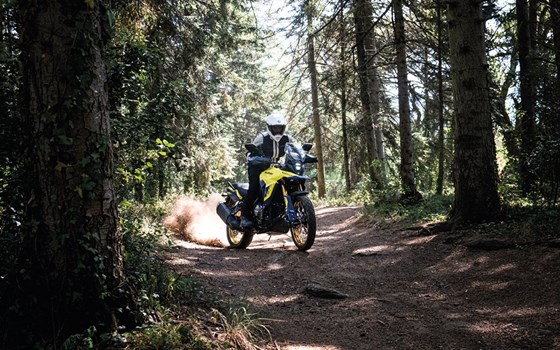 V-Strom 800 DE für 2023 - Bild 1 V-Strom 800 DE für 2023 - Bild 1