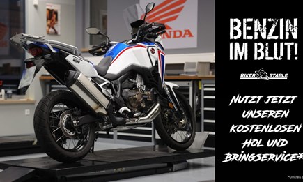 NEWSLETTER NOVEMBER 2022/01