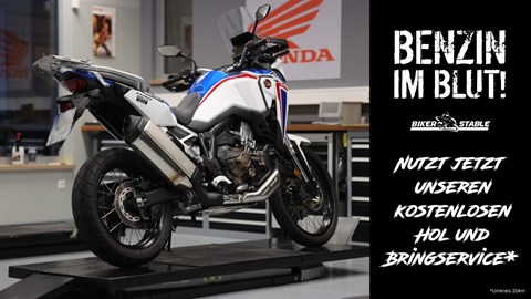 NEWSLETTER NOVEMBER 2022/01