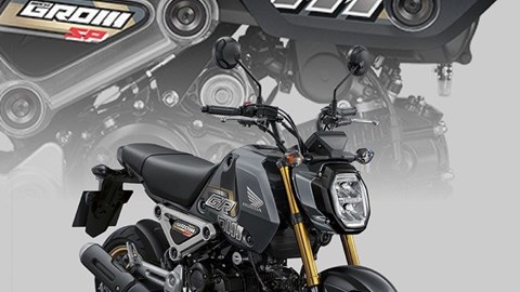 MSX125 Groom Modelljahr 2023: Neuer frischer Look mit zwei neuen Farbvarianten