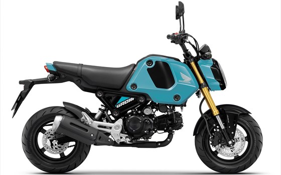 MSX125 Groom Modelljahr 2023: Neuer frischer Look mit zwei neuen Farbvarianten - Bild 3
