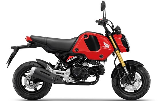 MSX125 Groom Modelljahr 2023: Neuer frischer Look mit zwei neuen Farbvarianten - Bild 4