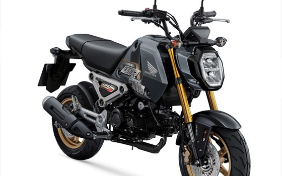 MSX125 Groom Modelljahr 2023: Neuer frischer Look mit zwei neuen Farbvarianten - Bild 5